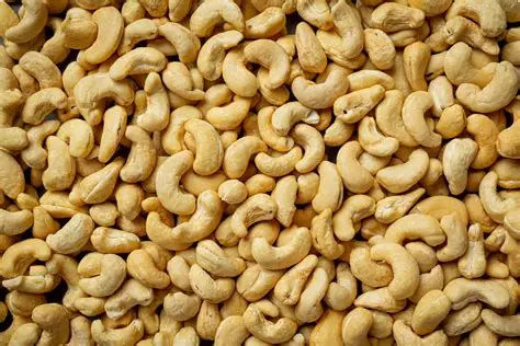 Raw Cashew Nuts (RCN)