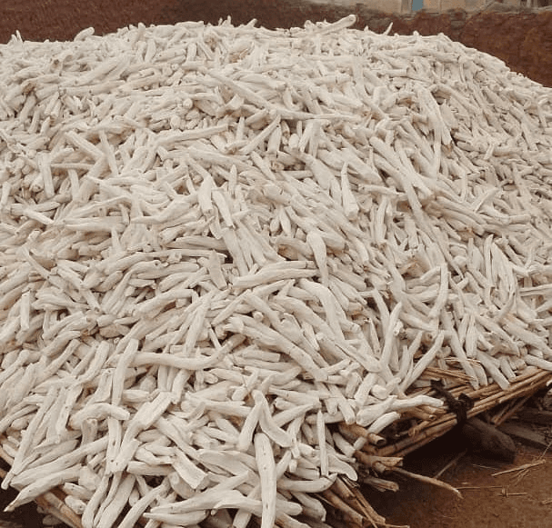 Processed Cassava (Chips & Starch)
